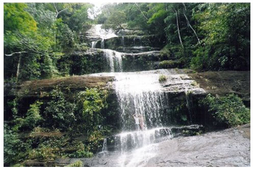 Estação Ecológica Juréia-Itatins